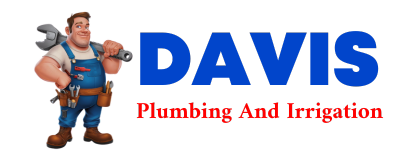 Trusted plumber in LOS INDIOS